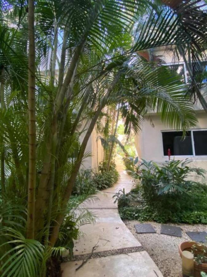 Apartment Spectacular Ph In Playacar - Private Rooftop, Pool By Yeah Playa del Carmen