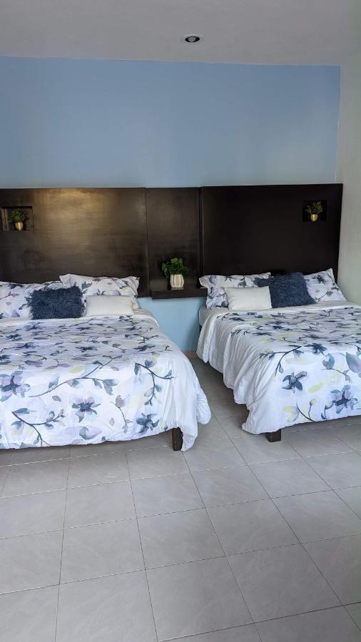Playa Suites Hotel