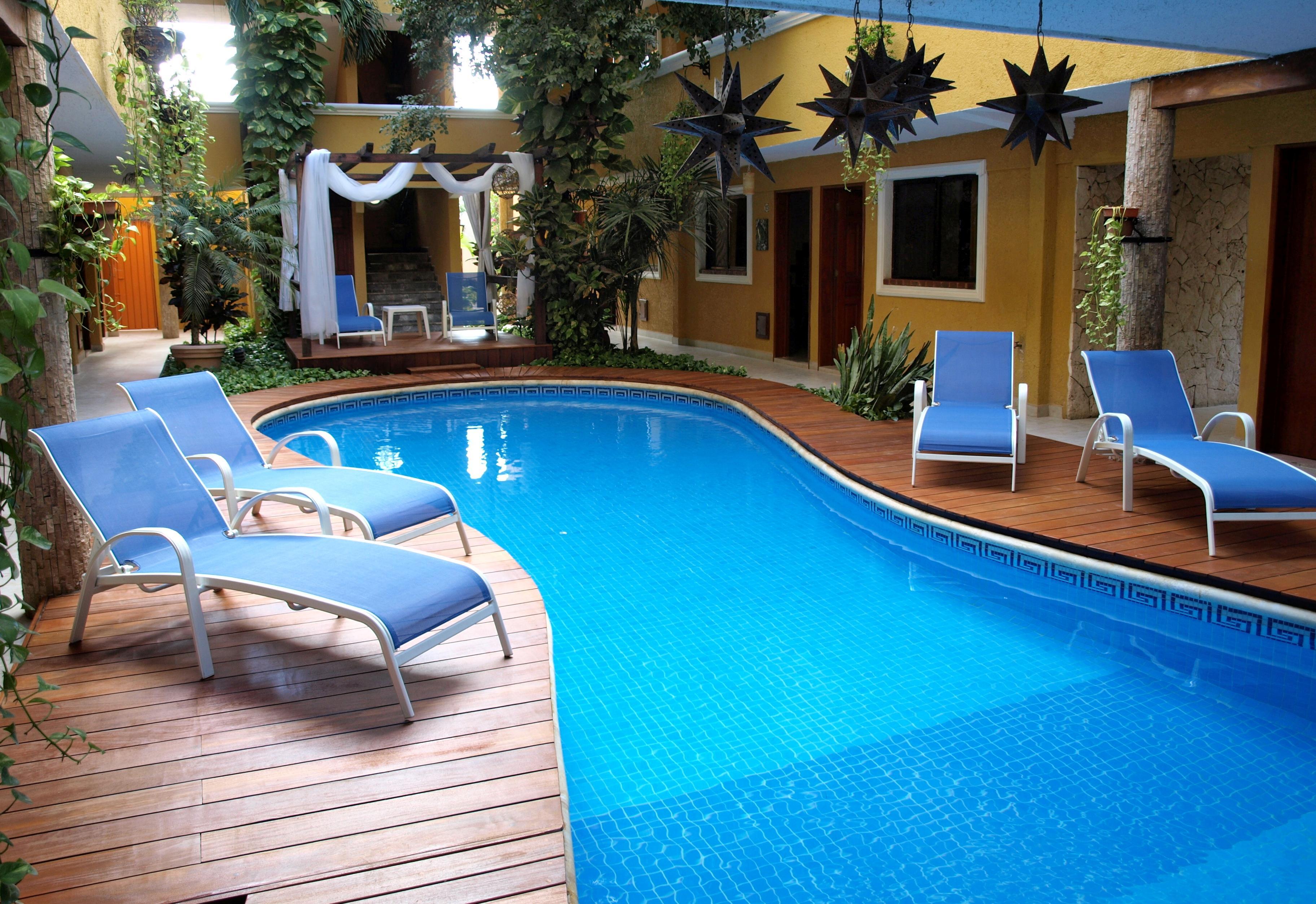 Golondrinas 4*