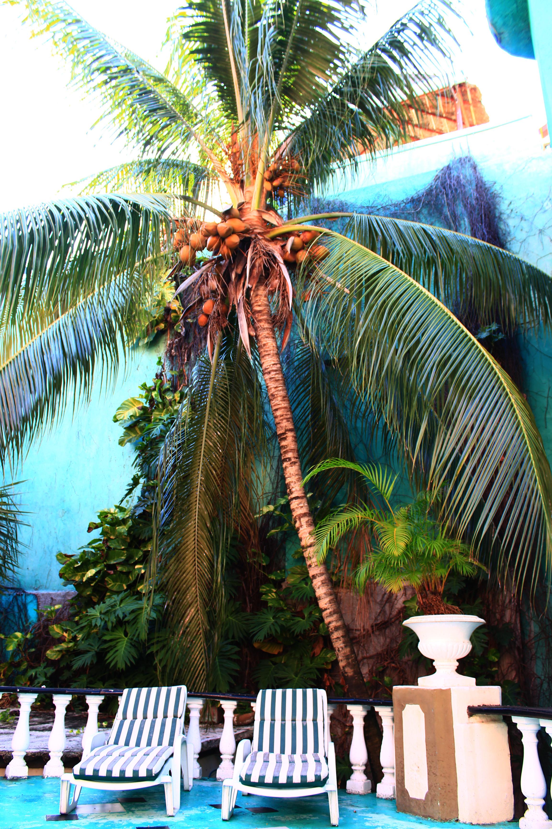 Hotel Maya Del Mar On Fifth Avenue