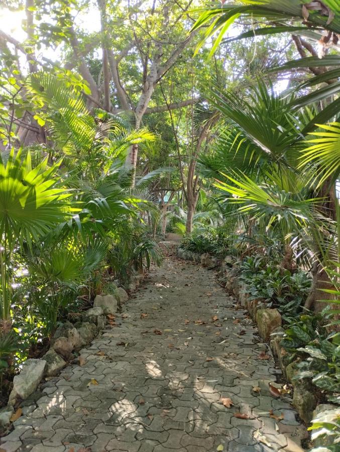 Casa Palmita