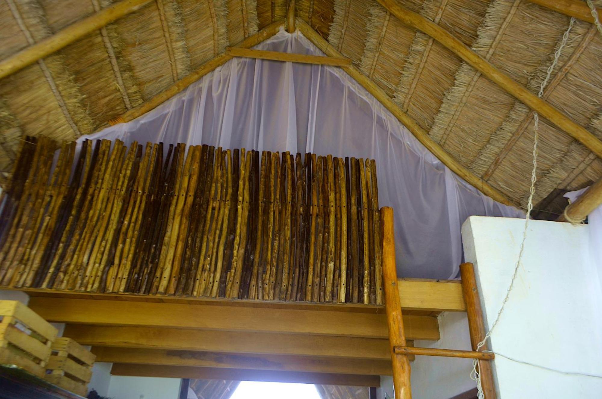 Privatunterkunft Wholeness Earthing Clubhouse Playa del Carmen