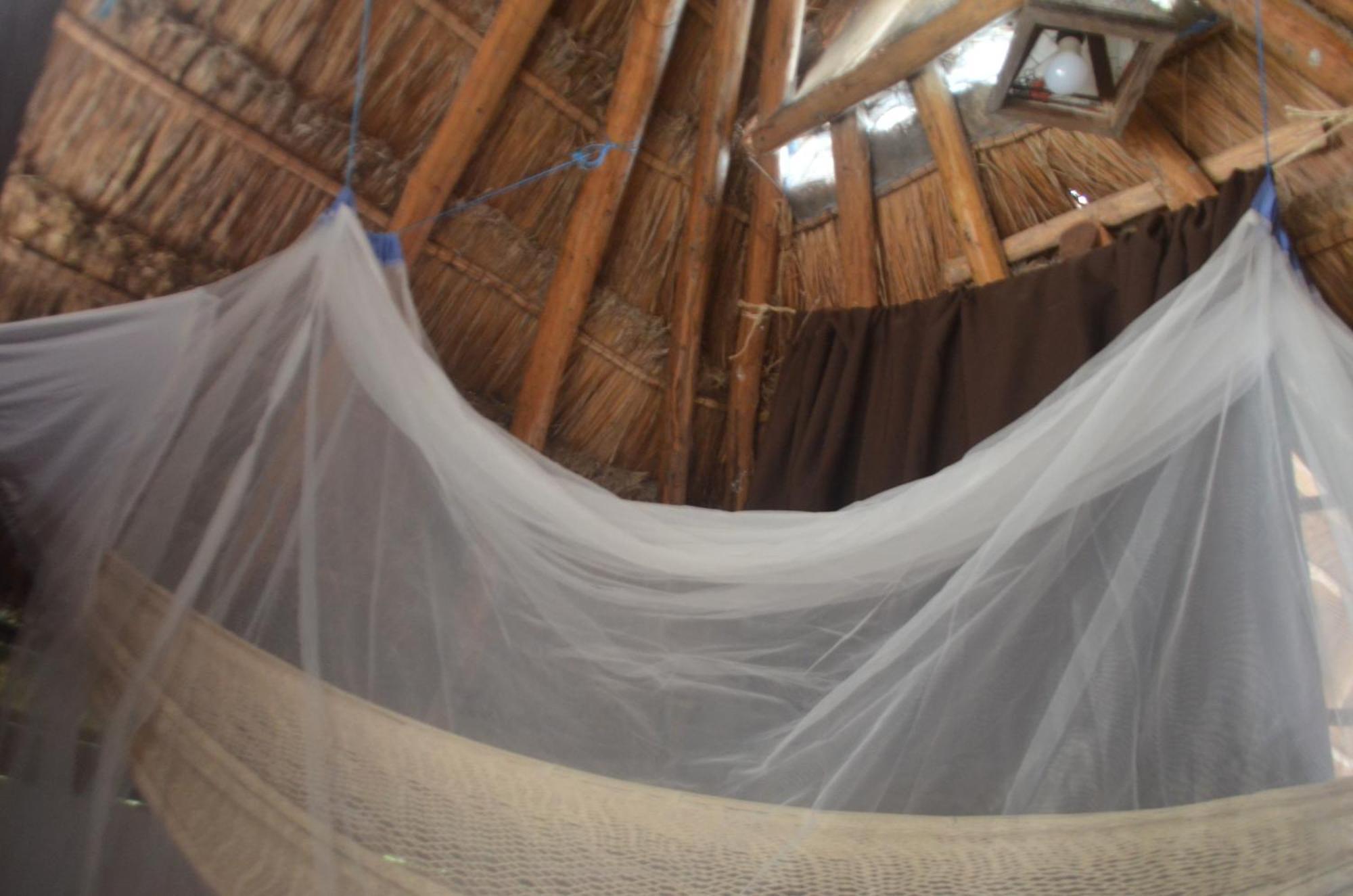 Privatunterkunft Wholeness Earthing Clubhouse Playa del Carmen