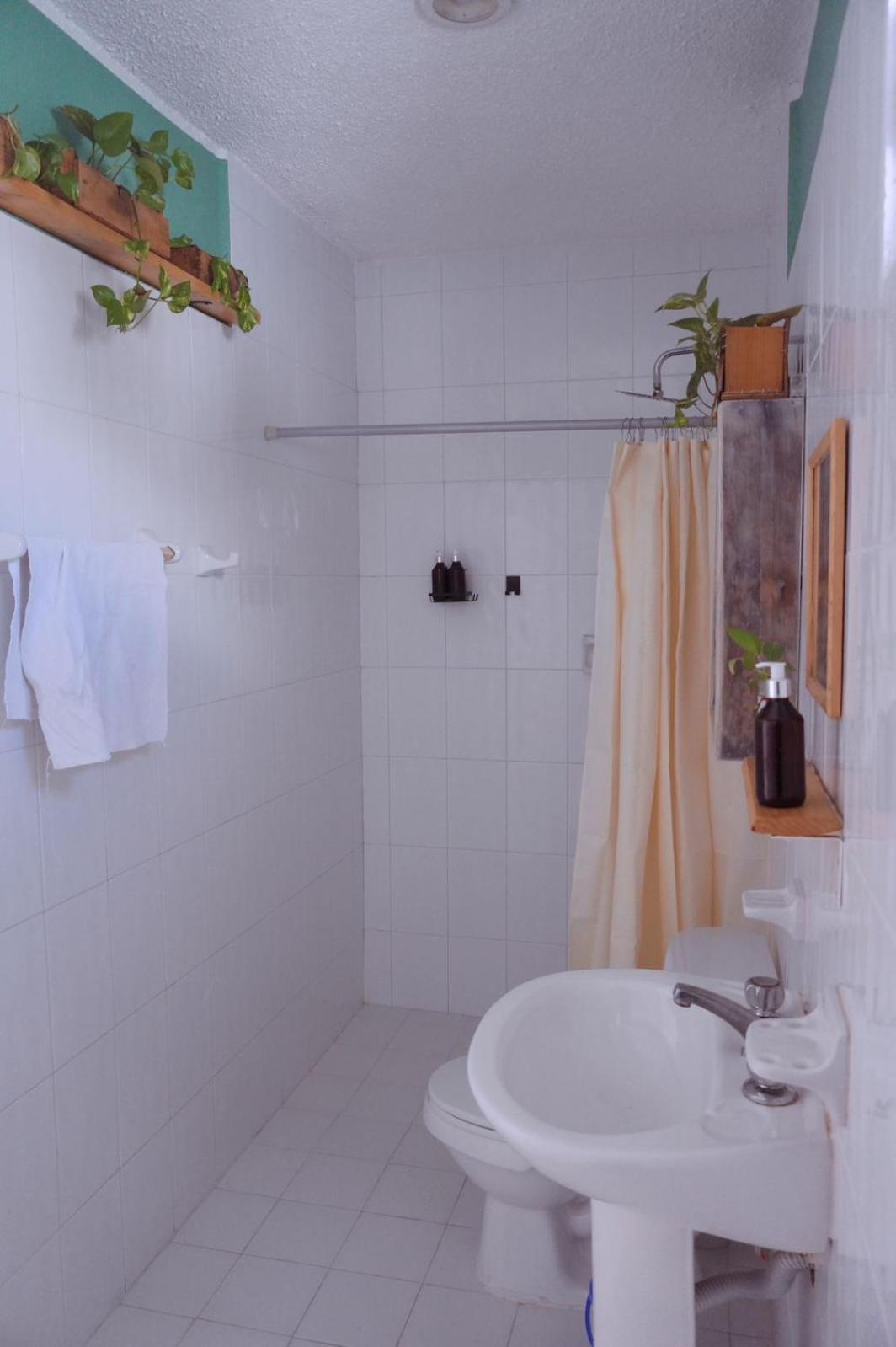 Casa Palmita Guest house