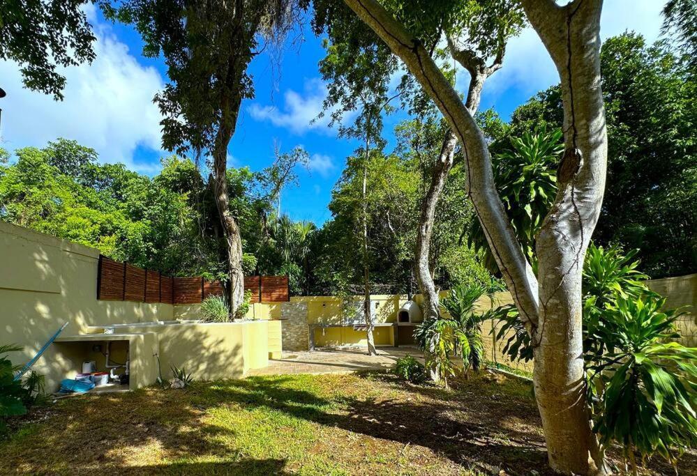 Lt 39 - Private Pool, Spacious Garden, Near Xcalacocobeach Holiday home