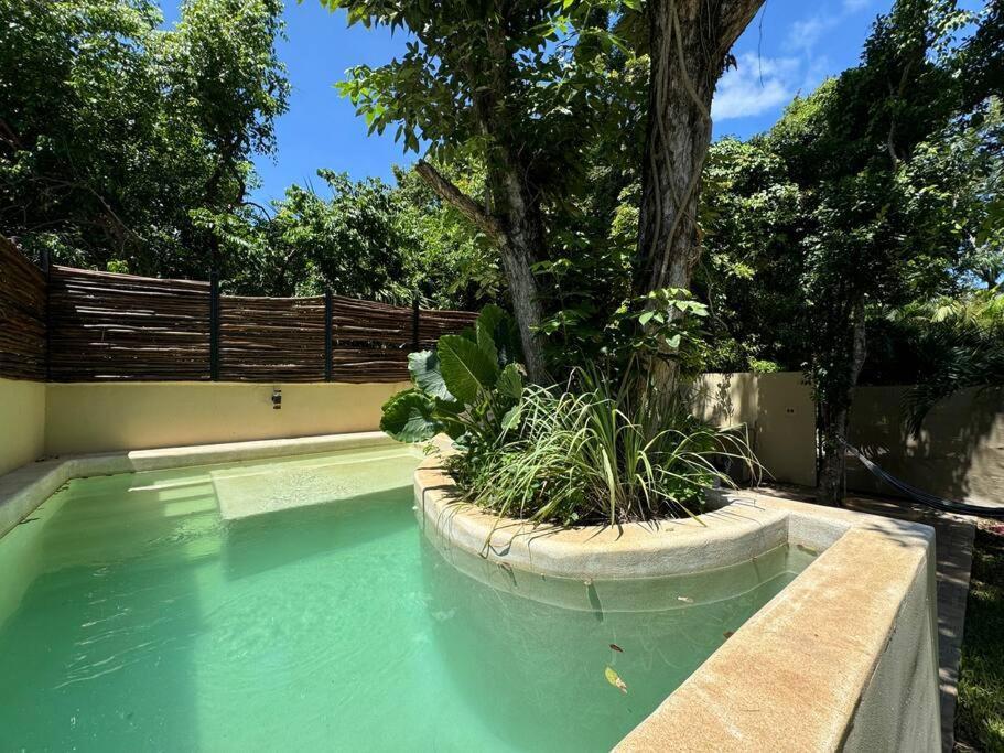 Lt 39 - Private Pool, Spacious Garden, Near Xcalacocobeach Holiday home *