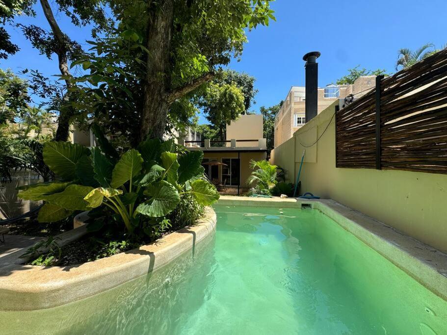 Holiday home Lt 39 - Private Pool, Spacious Garden, Near Xcalacocobeach Playa del Carmen