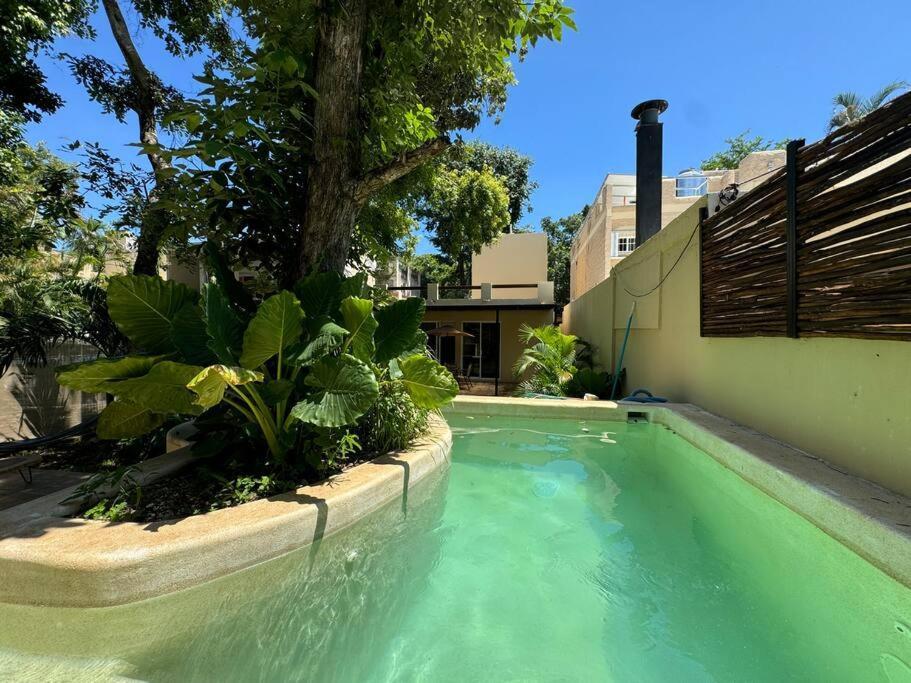 Lt 39 - Private Pool, Spacious Garden, Near Xcalacocobeach Holiday home *