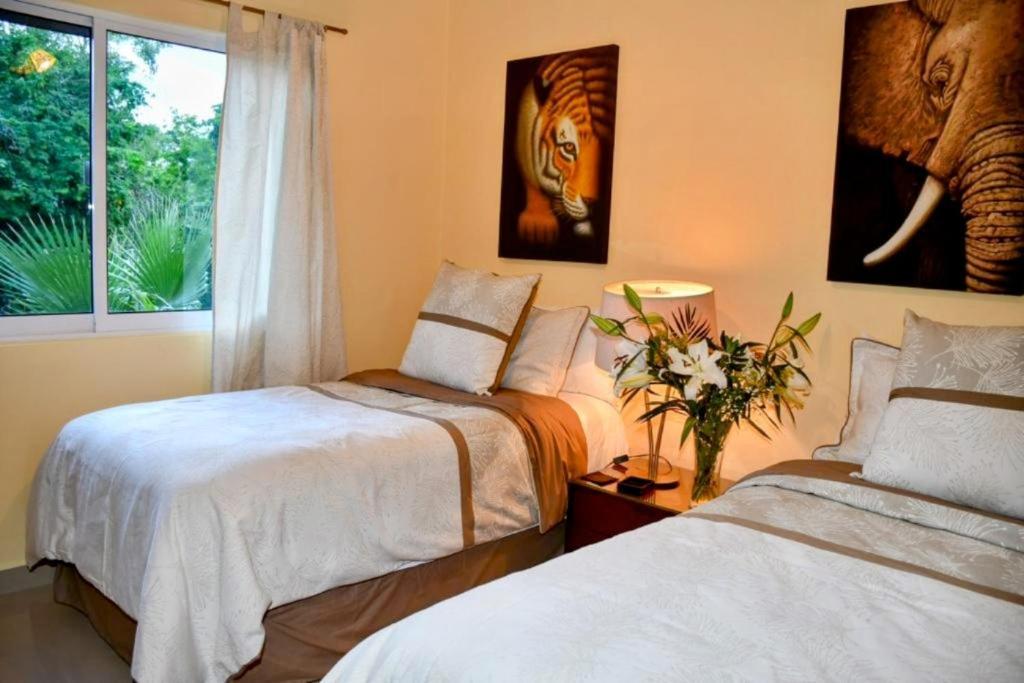 Villa Apartment *