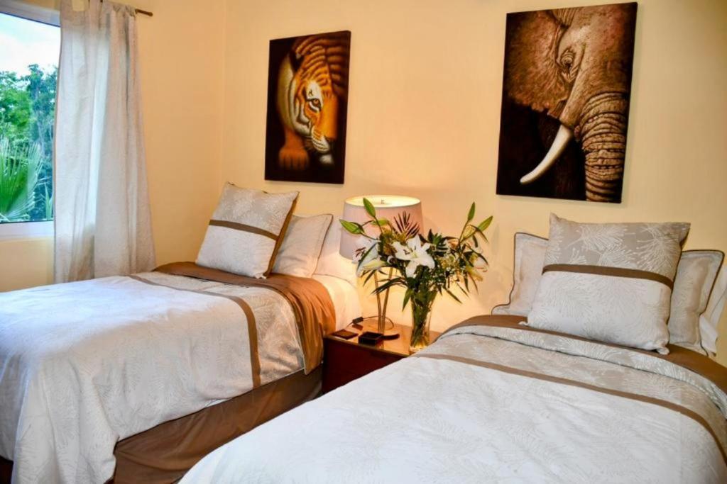 Apartment Villa *