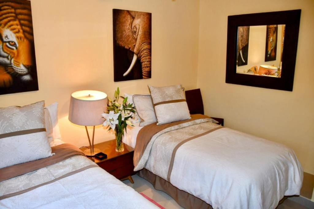 Apartment Villa