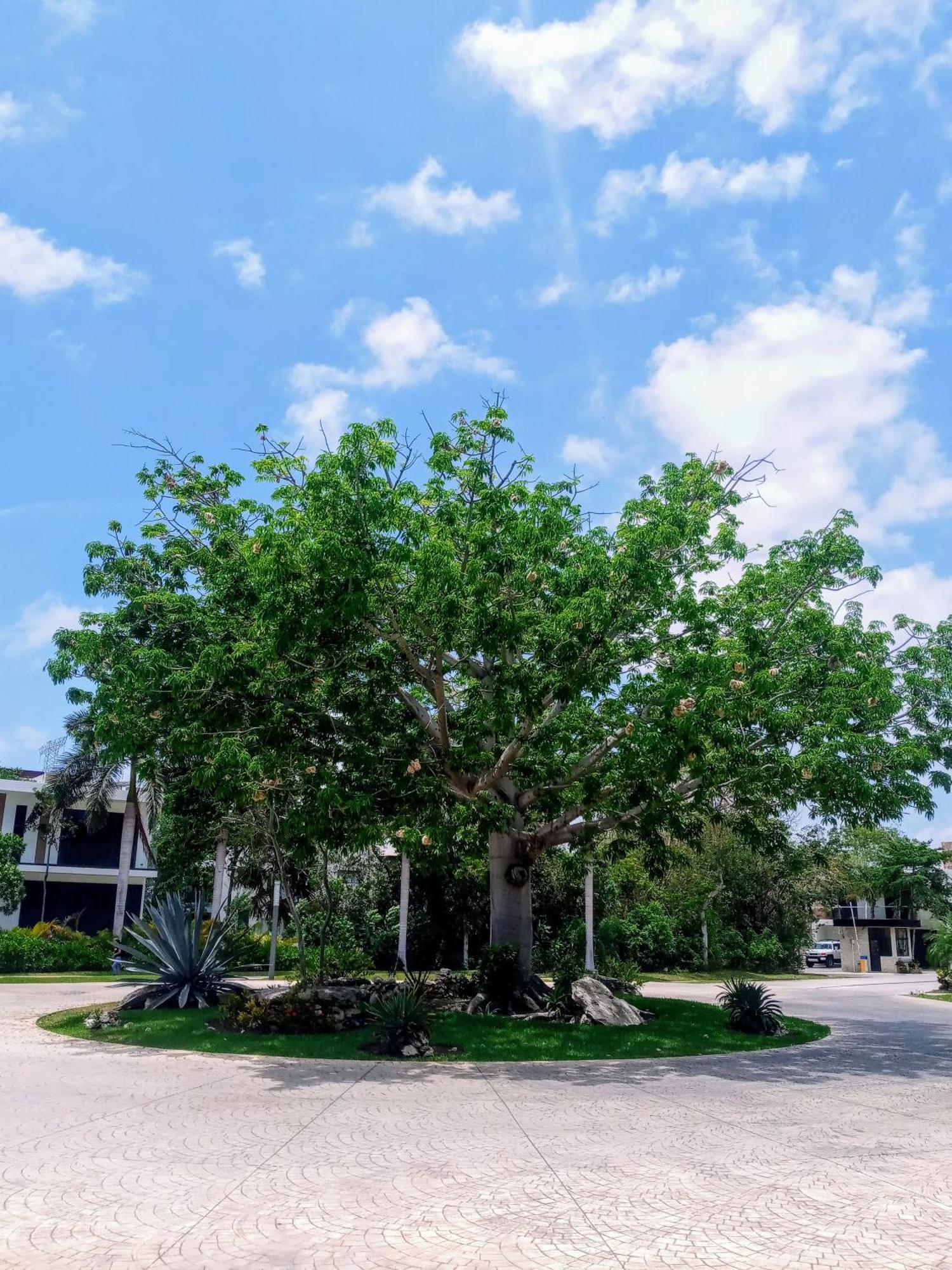 Apartment Playa del Carmen