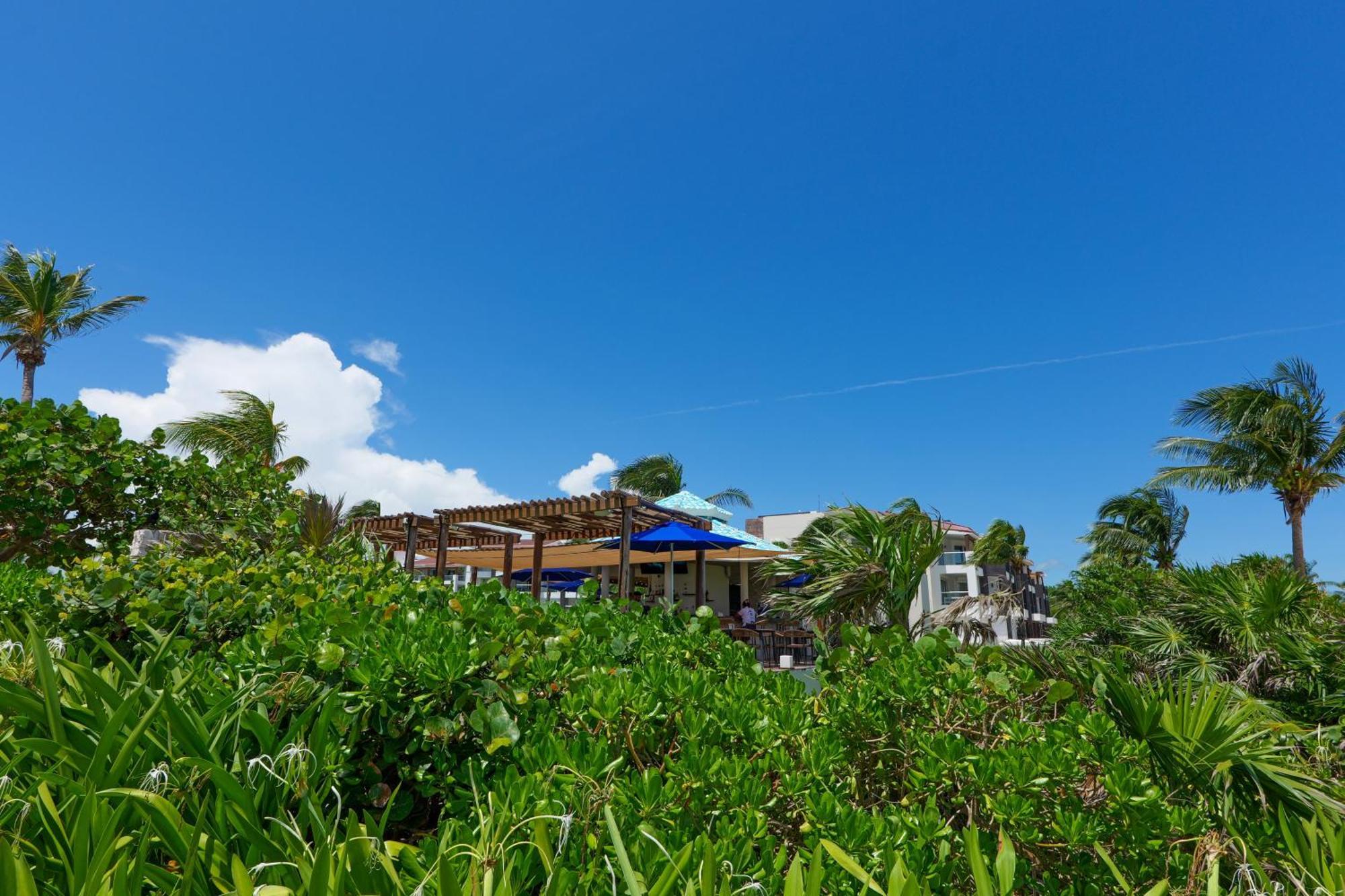 Seaside Serenity Retreat At Mareazul Norte Apartment *