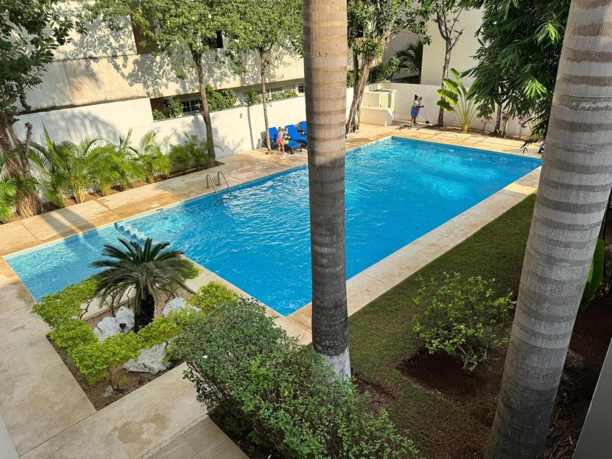 Apartment Selvanova Coto 6 *