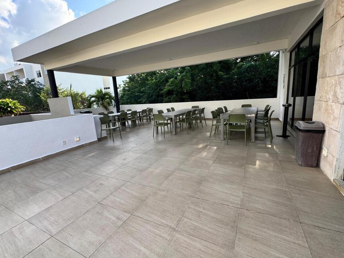 Selvanova Coto 6 *