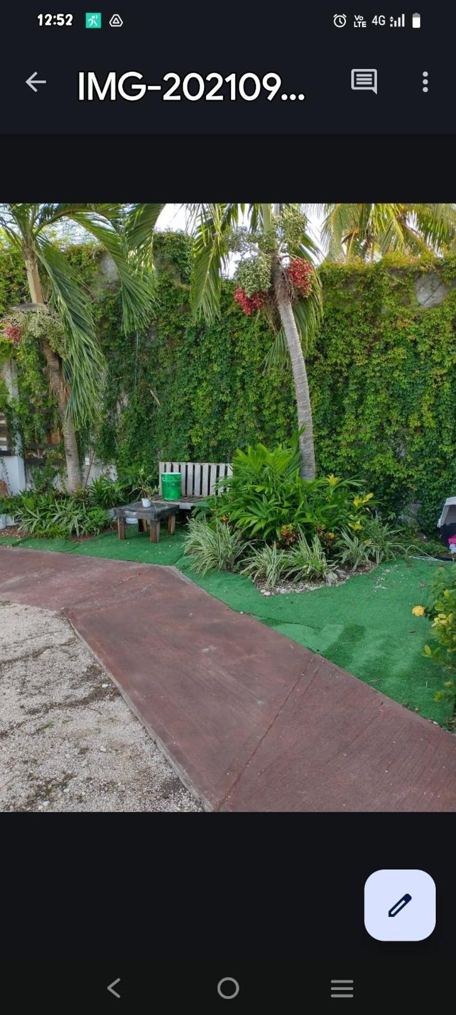 La Casita Del Arte *