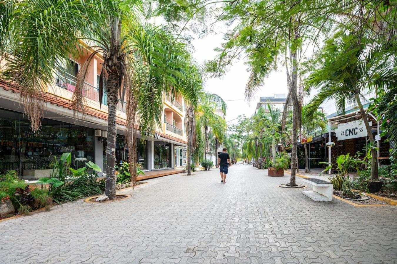 Stylish W Rooftop Pool Walk To 5th Vakantiehuis Playa del Carmen