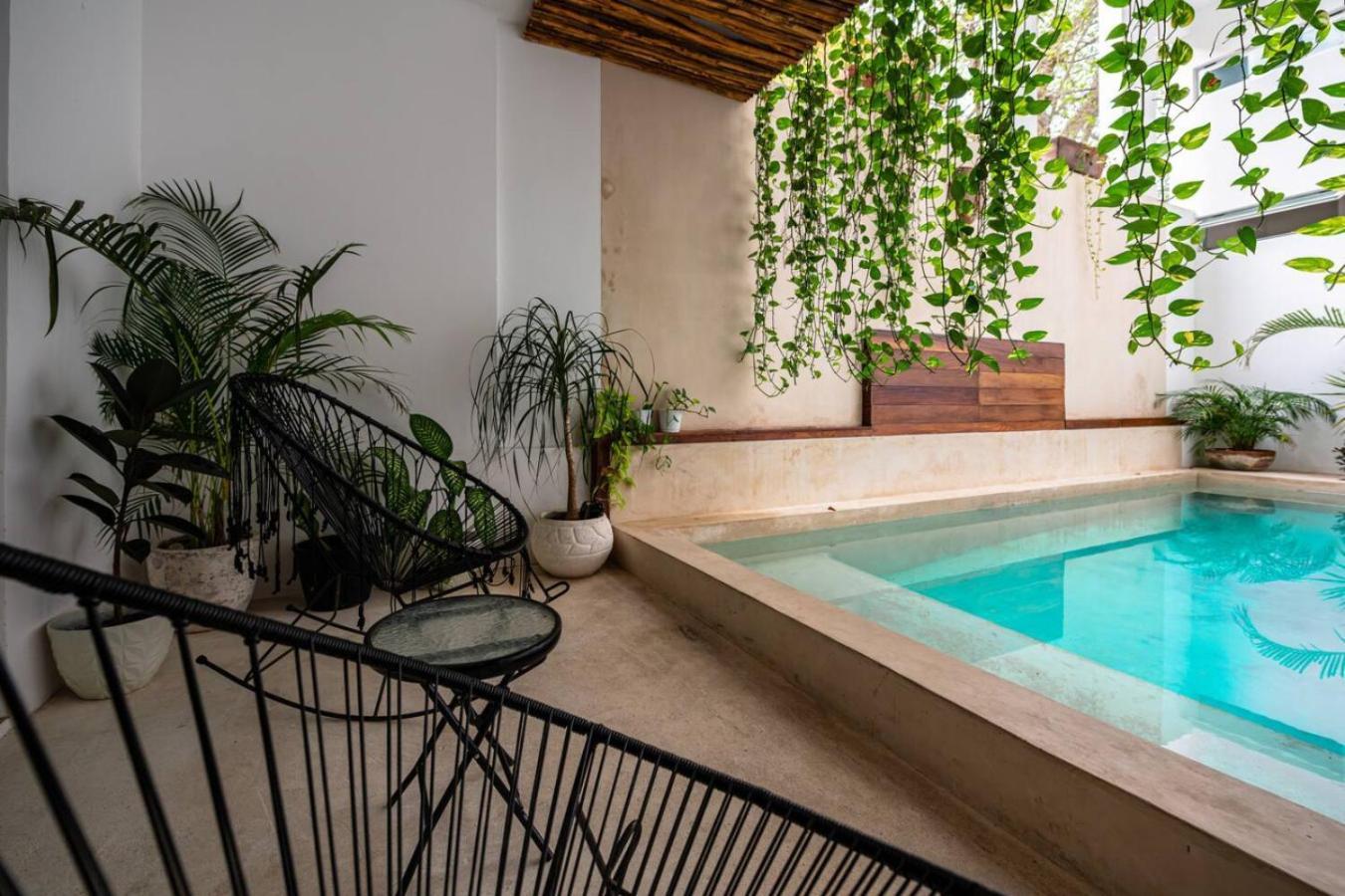Stylish W Rooftop Pool Walk To 5th Playa del Carmen