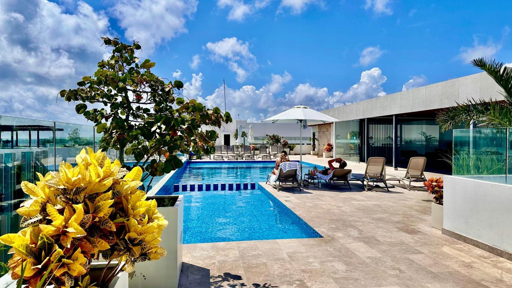 Ipana Luxury *