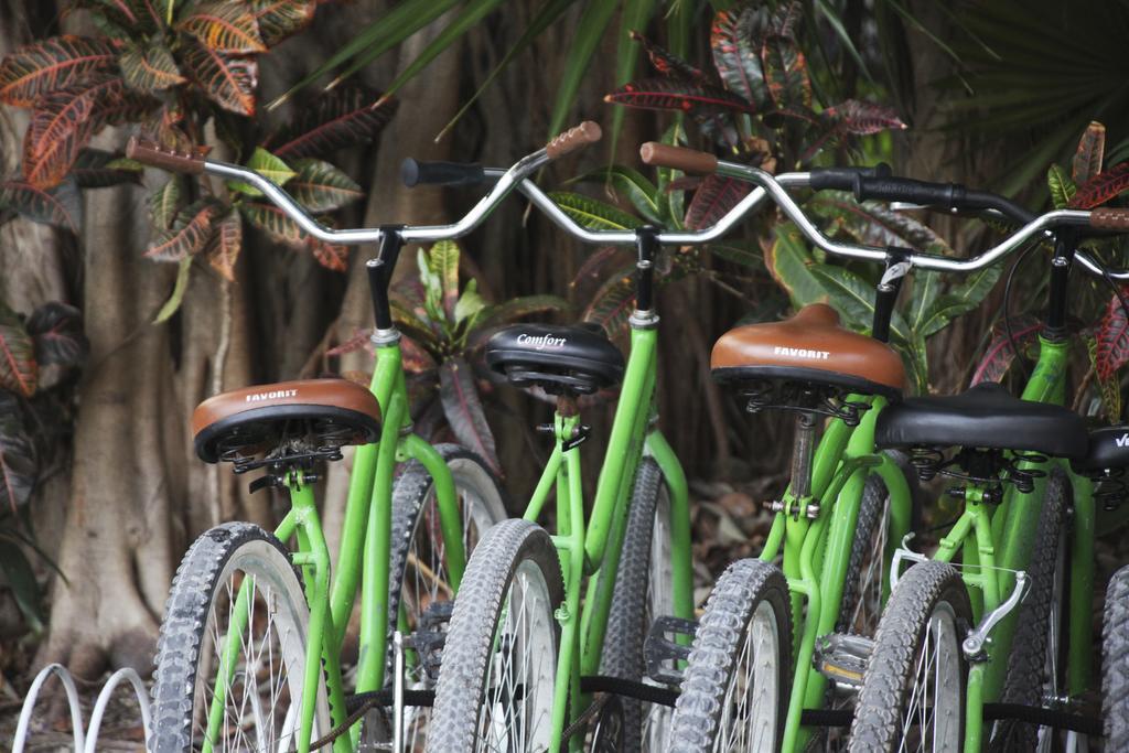Resort Sandos Caracol Eco (adults Only) Playa del Carmen