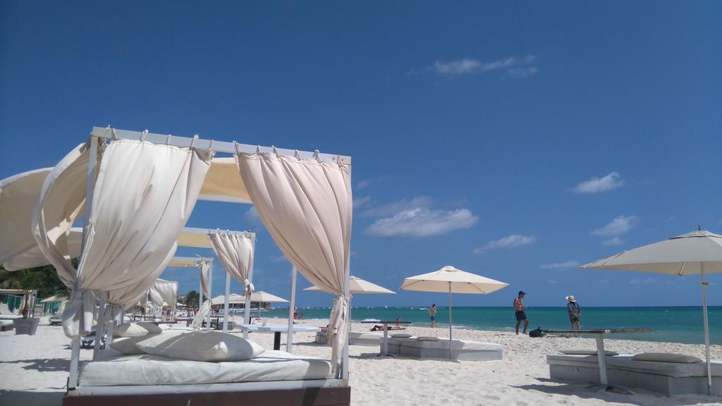 Playa Centro Guest house *