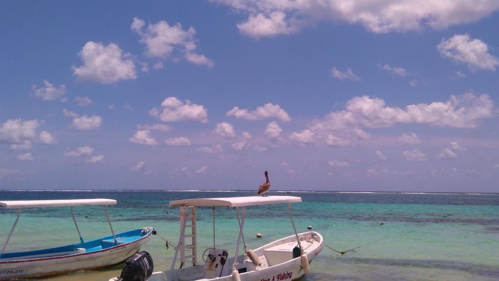 Playa Centro Guest house *