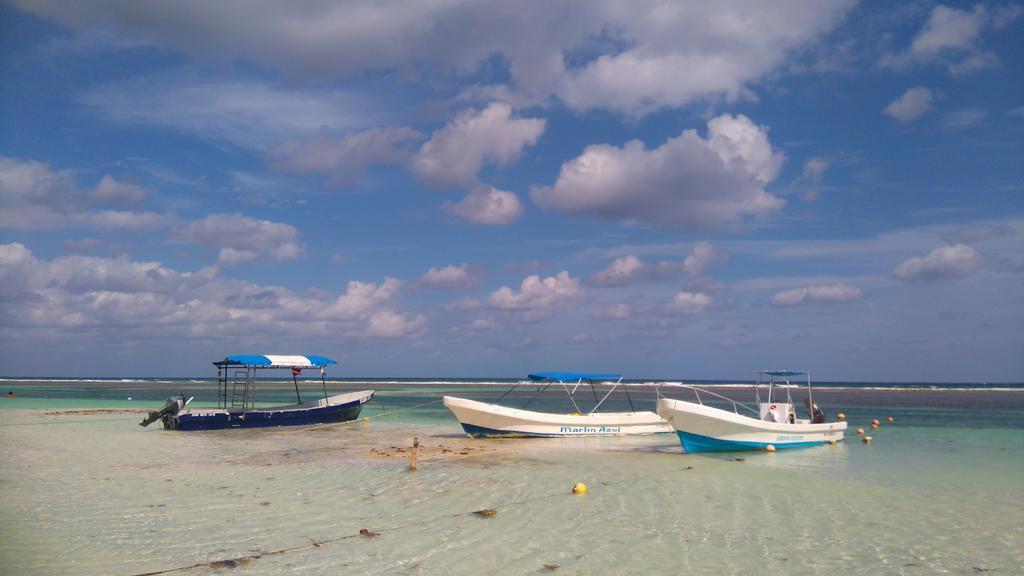 Playa Centro Guest house Playa del Carmen