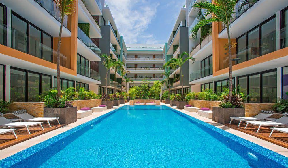 Apartment The *