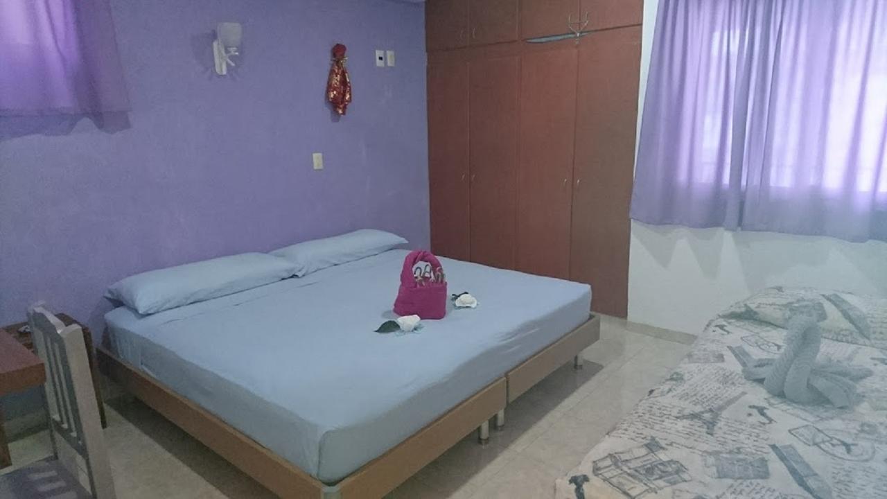 Playa Centro Guest house *