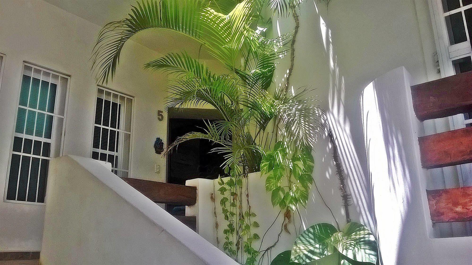 Adelina Bed and breakfast Playa del Carmen