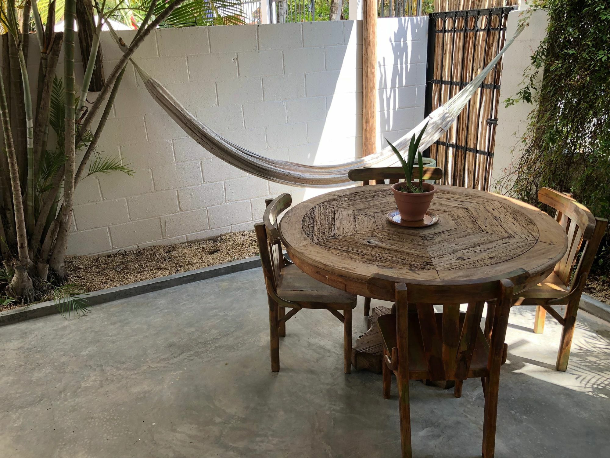Acomodação com café da manhã  Casa La Palma 3*
