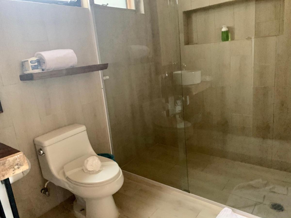 Hotel Polo 15 Suites