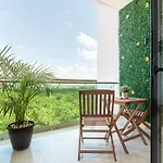 Condo Akul