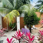 Butterfly House