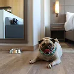 Residence Inn By Marriott Playa Del Carmen