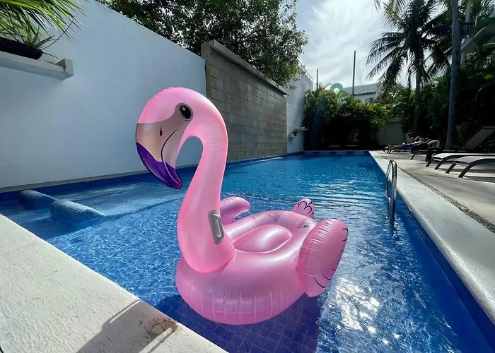 Oasis 12
