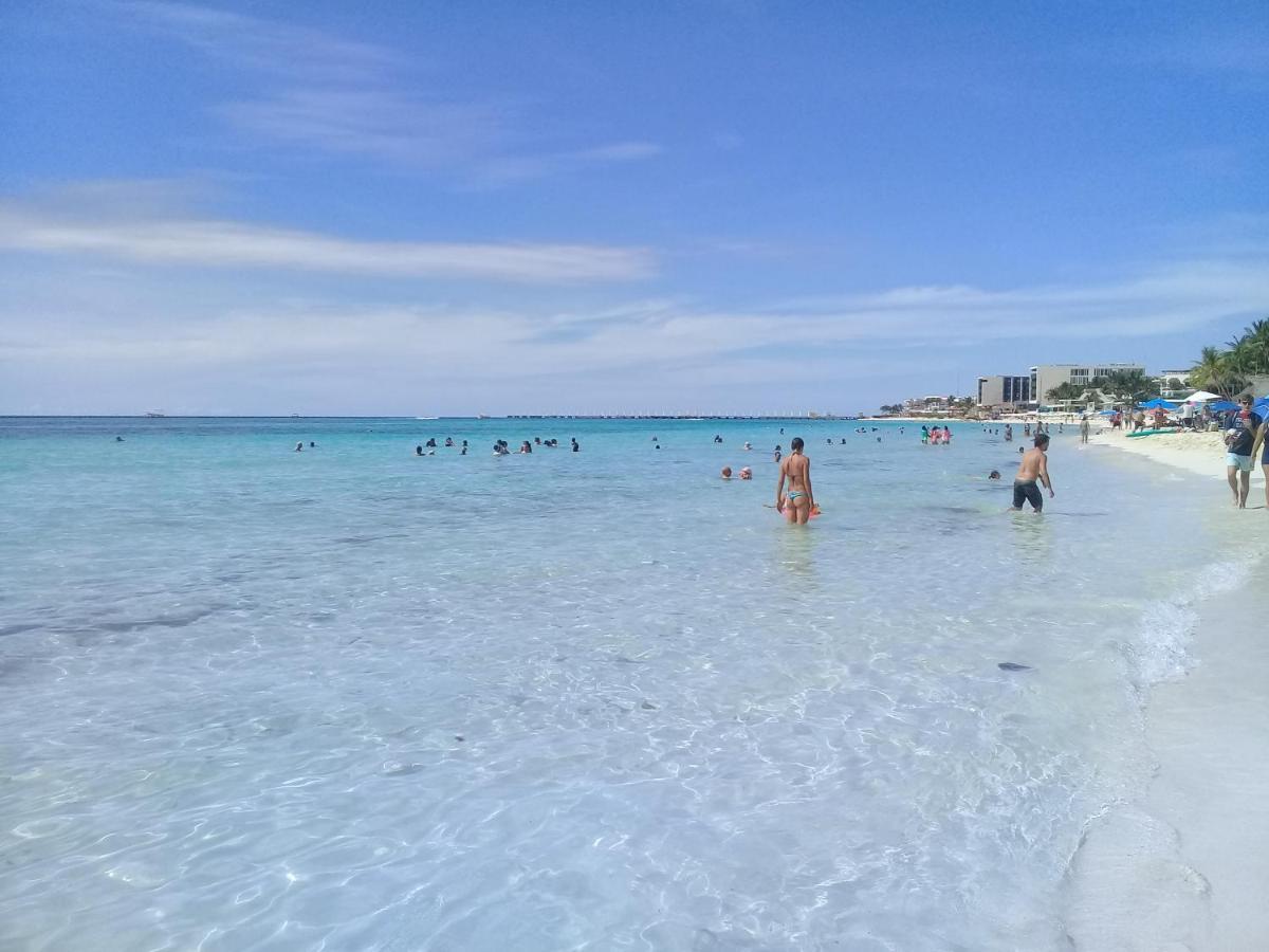 Appartement Caribbean Vibes - Cerca De 5ta Av Y Playa *