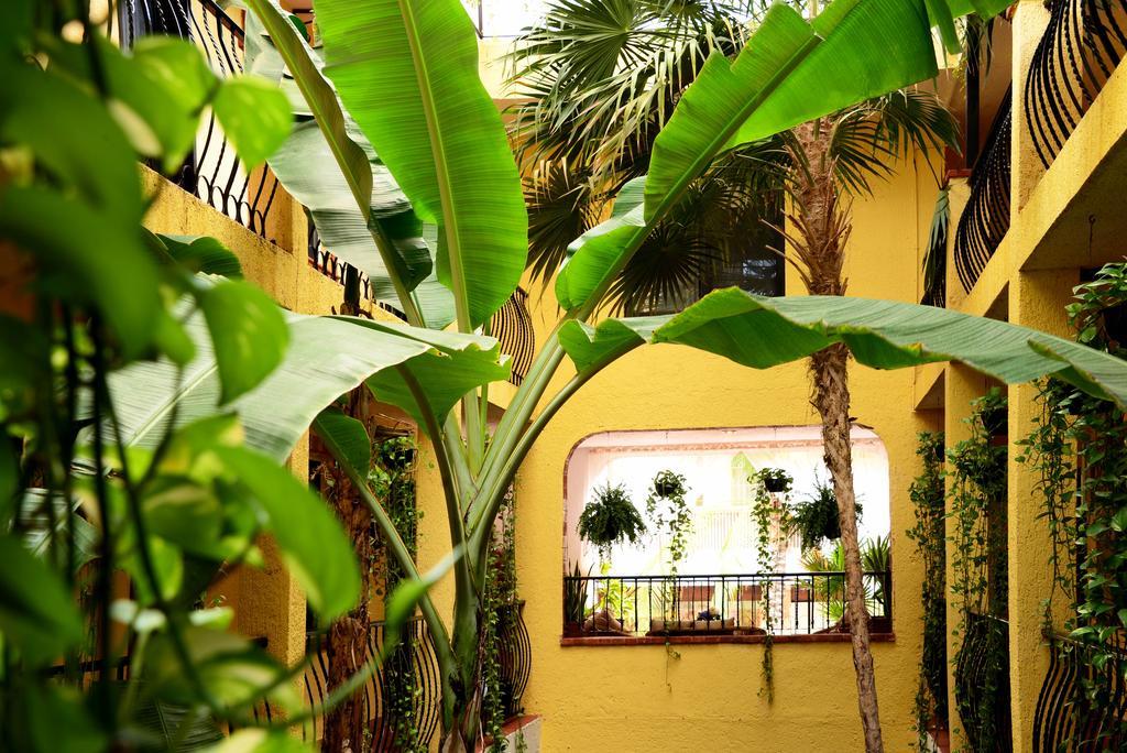 Unic Design - 5th Avenue (adults Only) Playa del Carmen