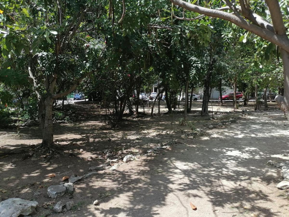 24 Apartamento