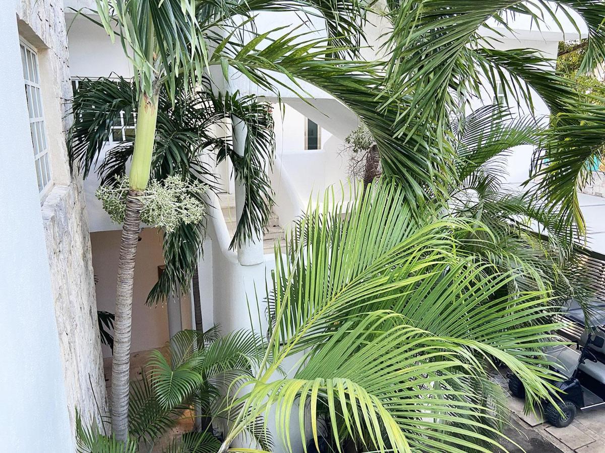 Nasim Con Acceso Club Gratis, Metros 5th Avenida Aparthotel Playa del Carmen