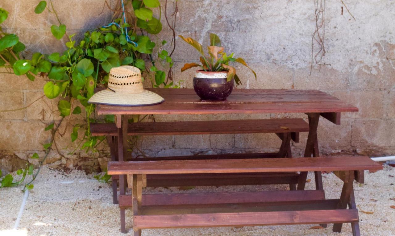 Bed and breakfast Casa Del Artista - Playa del Carmen