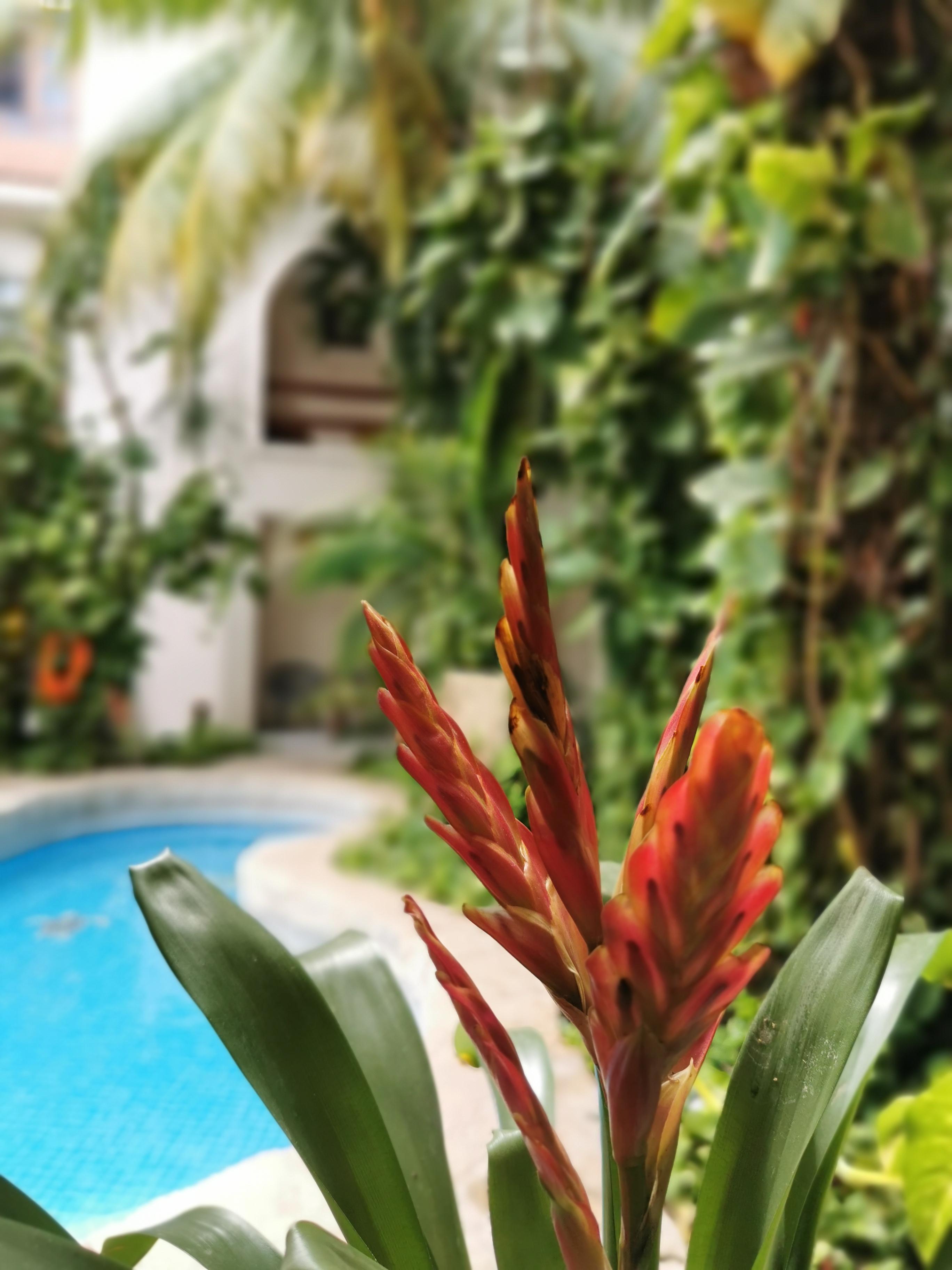 Hulku Hotel 3*