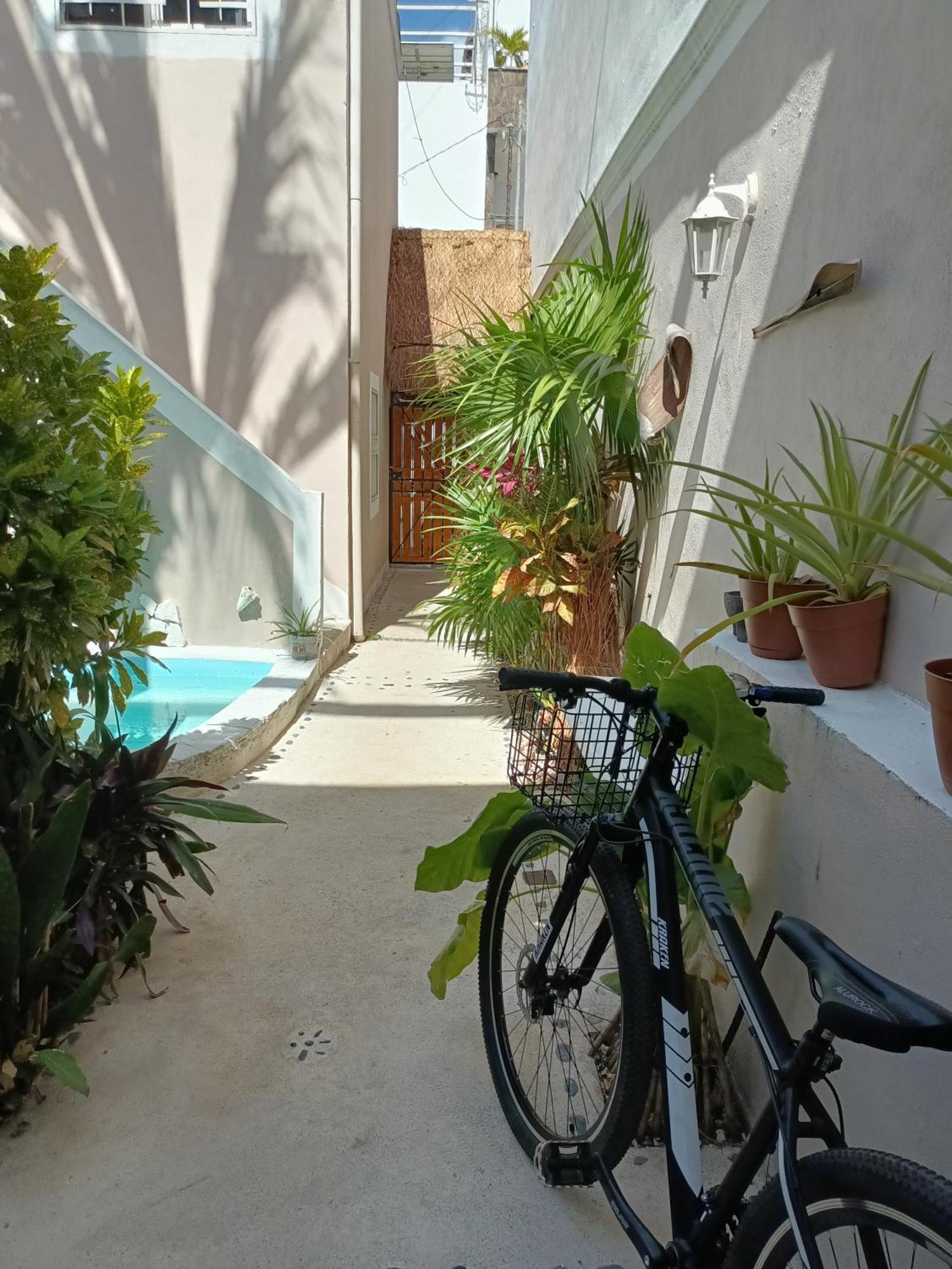 Kika Casa de hóspedes Playa del Carmen
