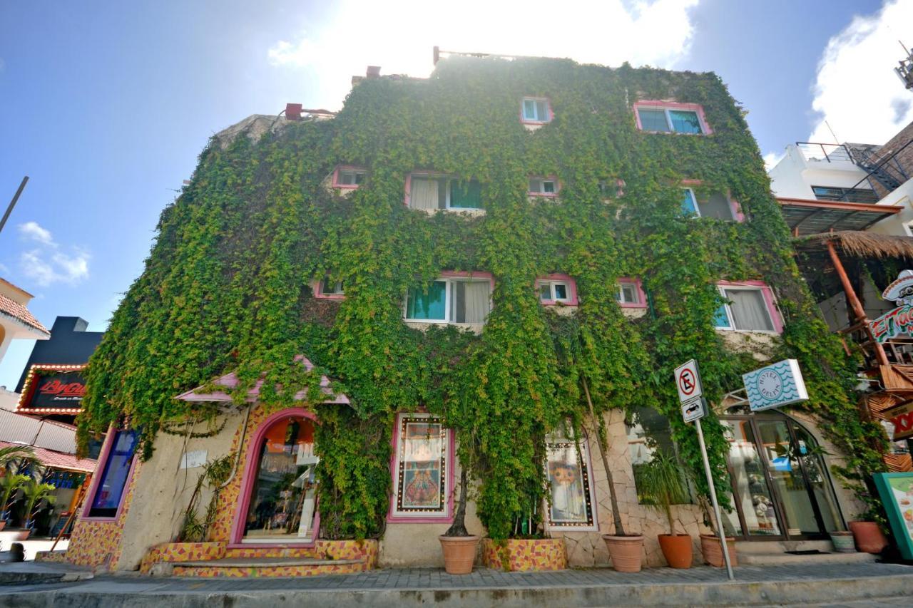 Delfin Hotel 2*