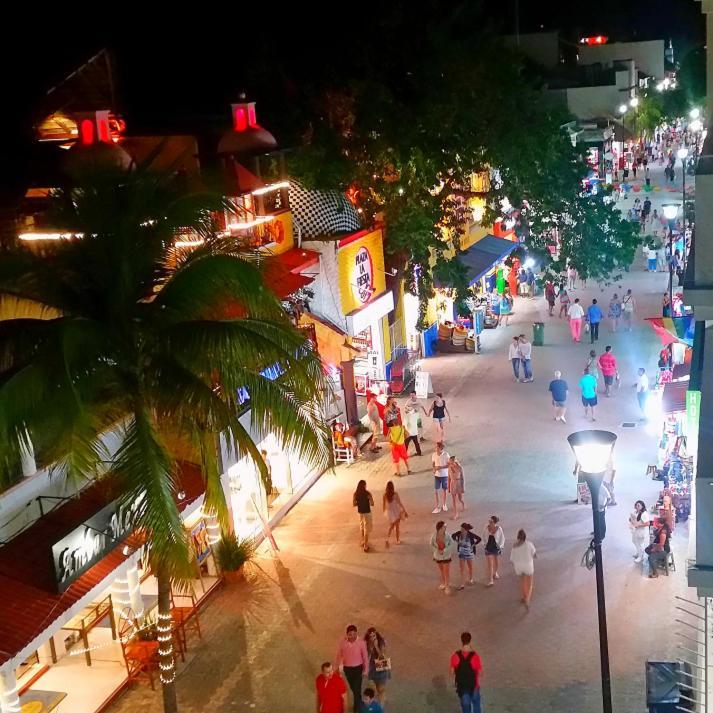 Delfin Playa del Carmen