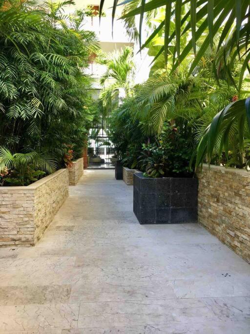 Appartement Your Exclusive In The - Amenities & Services For Free!! *