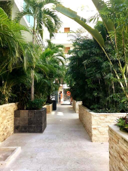 Your Exclusive In The - Amenities & Services For Free!! Appartement Playa del Carmen