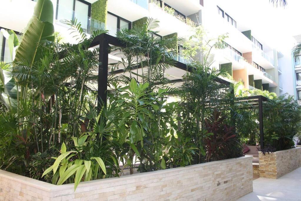 Appartement Your Exclusive In The - Amenities & Services For Free!!