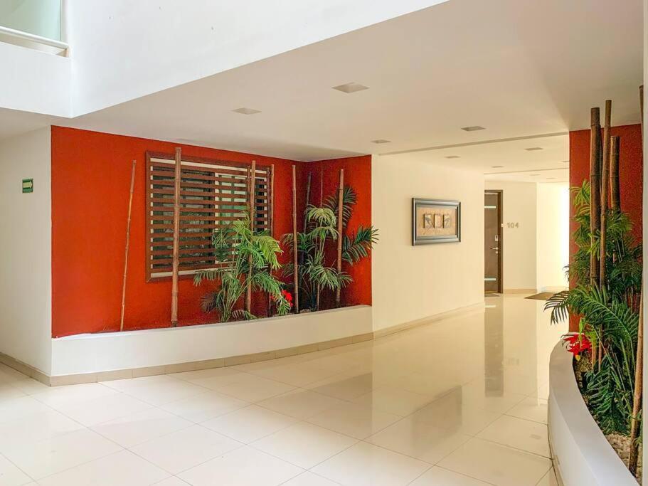 Oasis 12