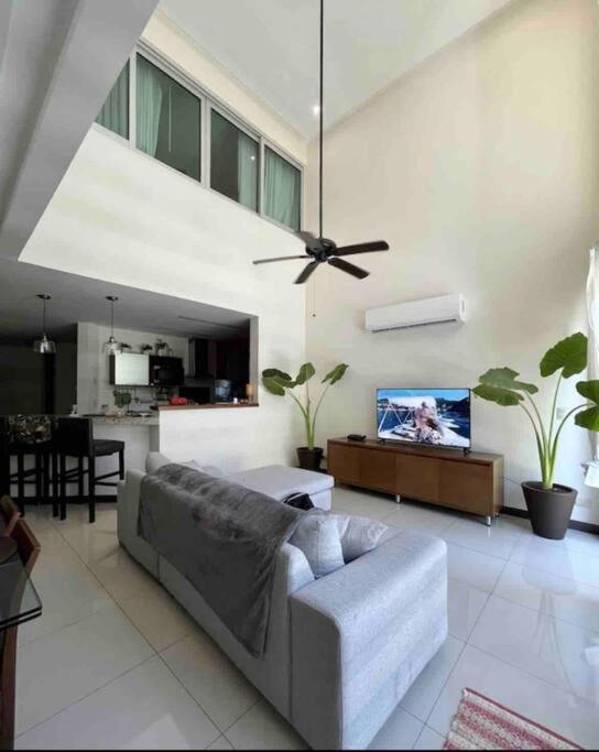 Appartement Oasis 12 *